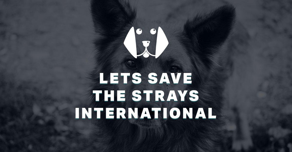 Lets Save The Strays International LLC 