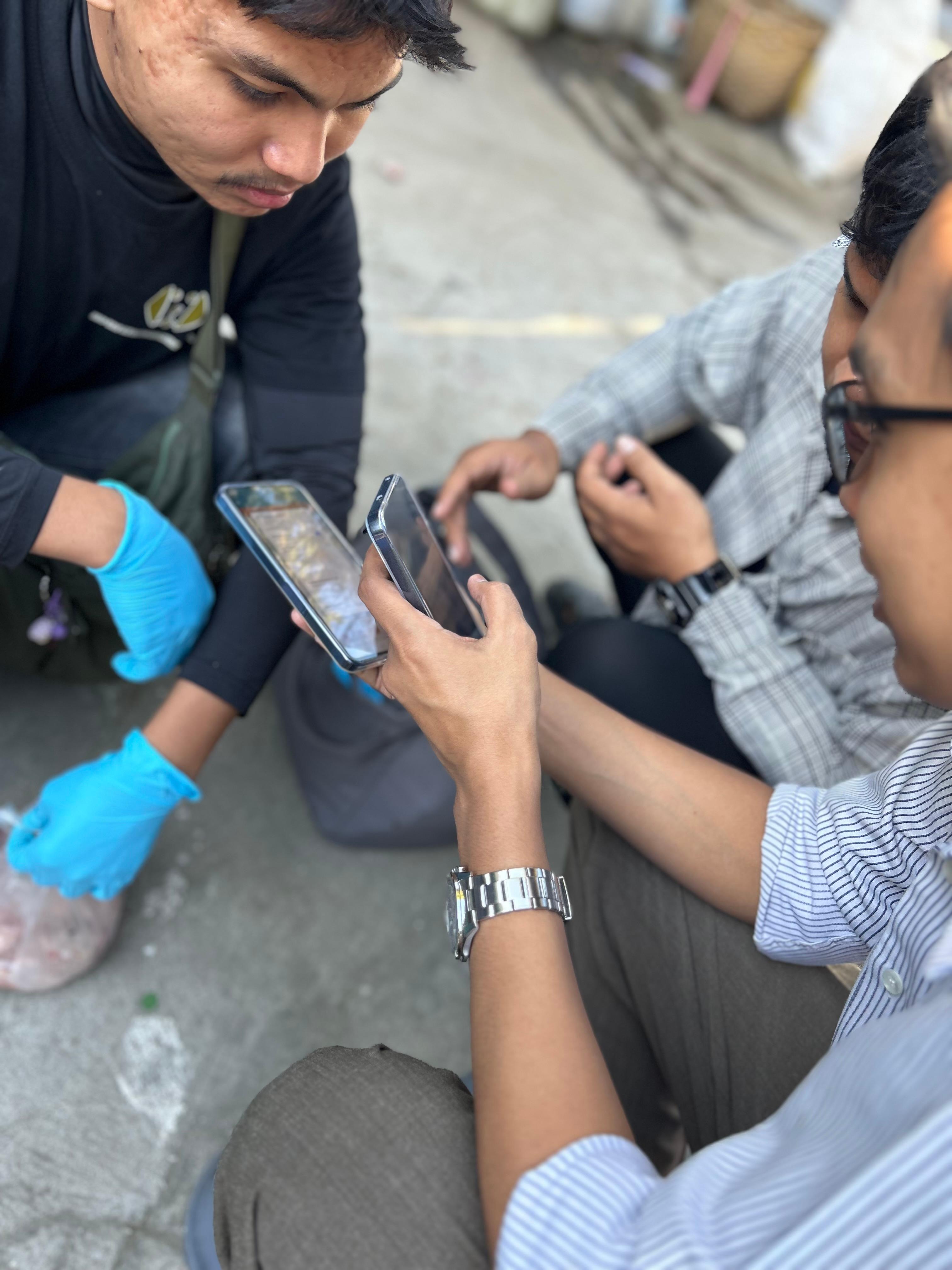 Veterinary team treating a dog in Myanmar