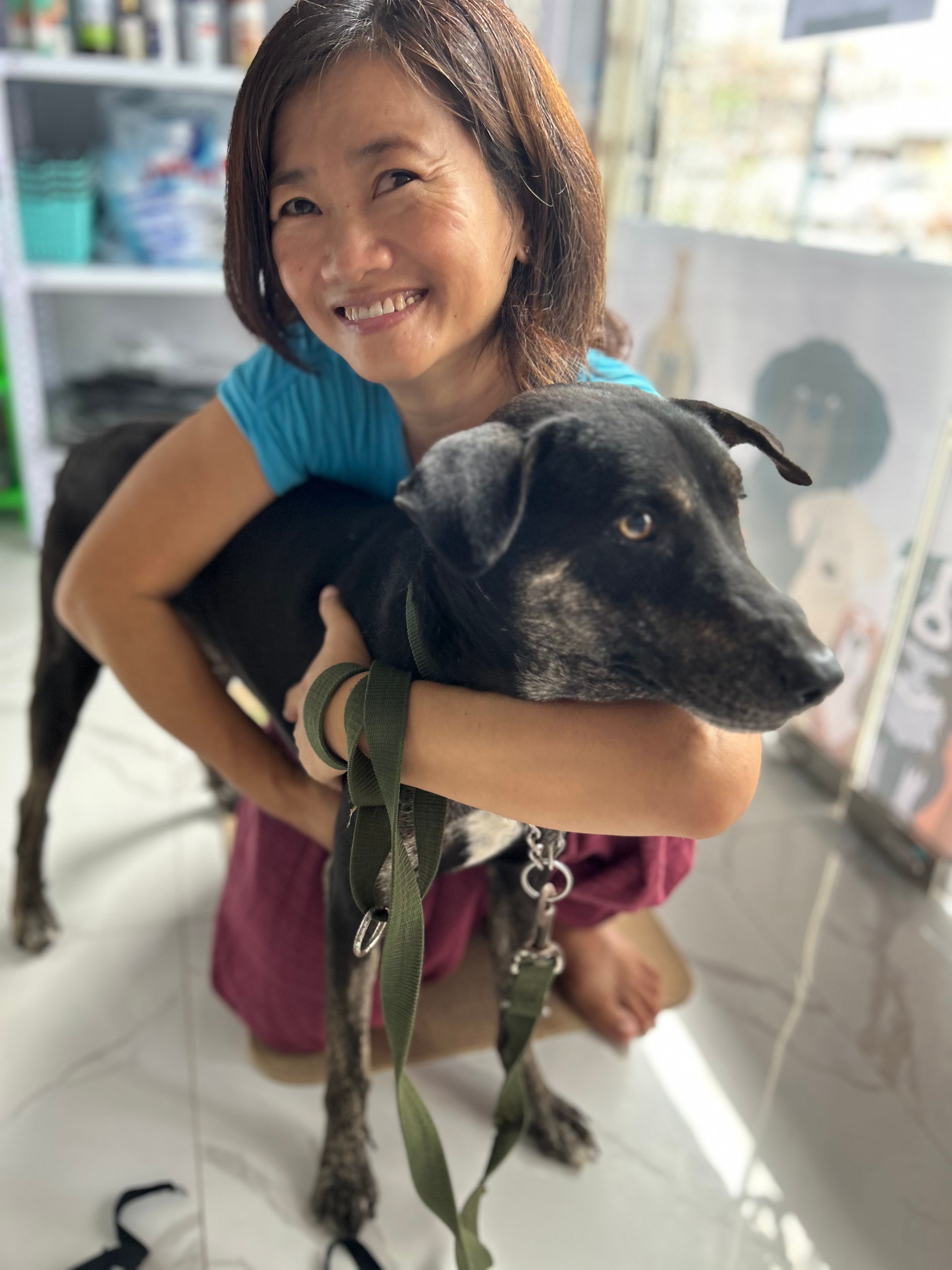 Veterinary care in Yangon