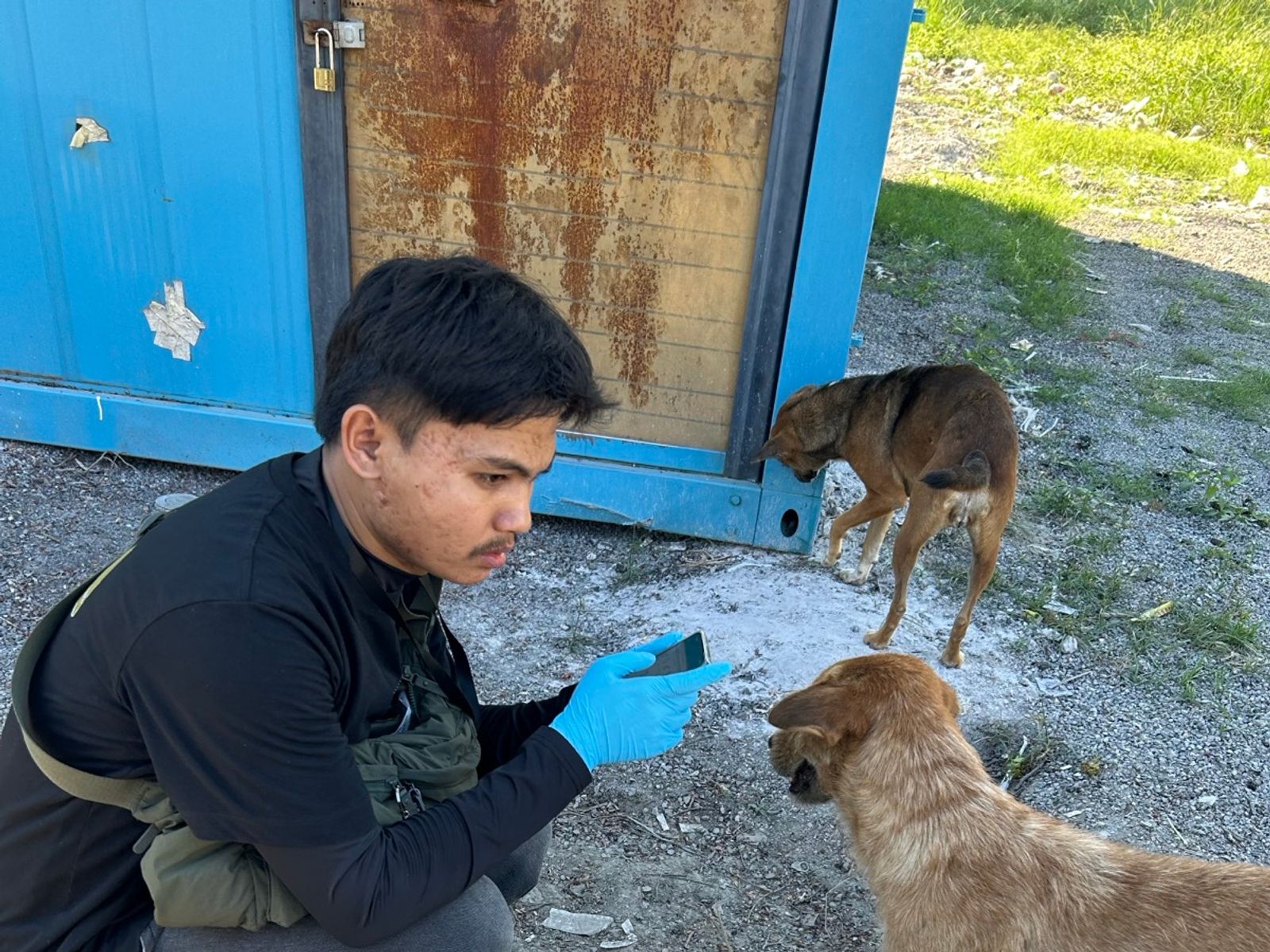 Field data collection in Myanmar