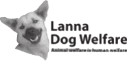 Logo for Lanna Dog