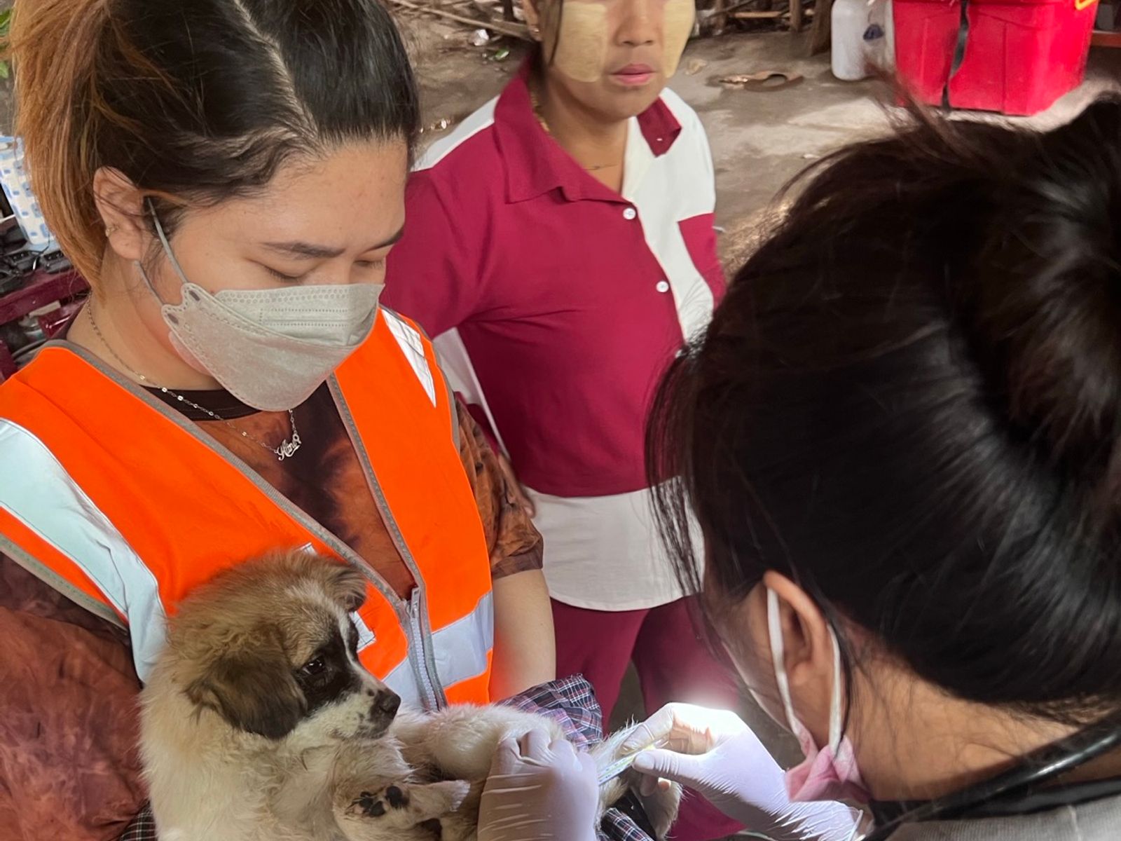 Medical care beyond TNVR in Mandalay