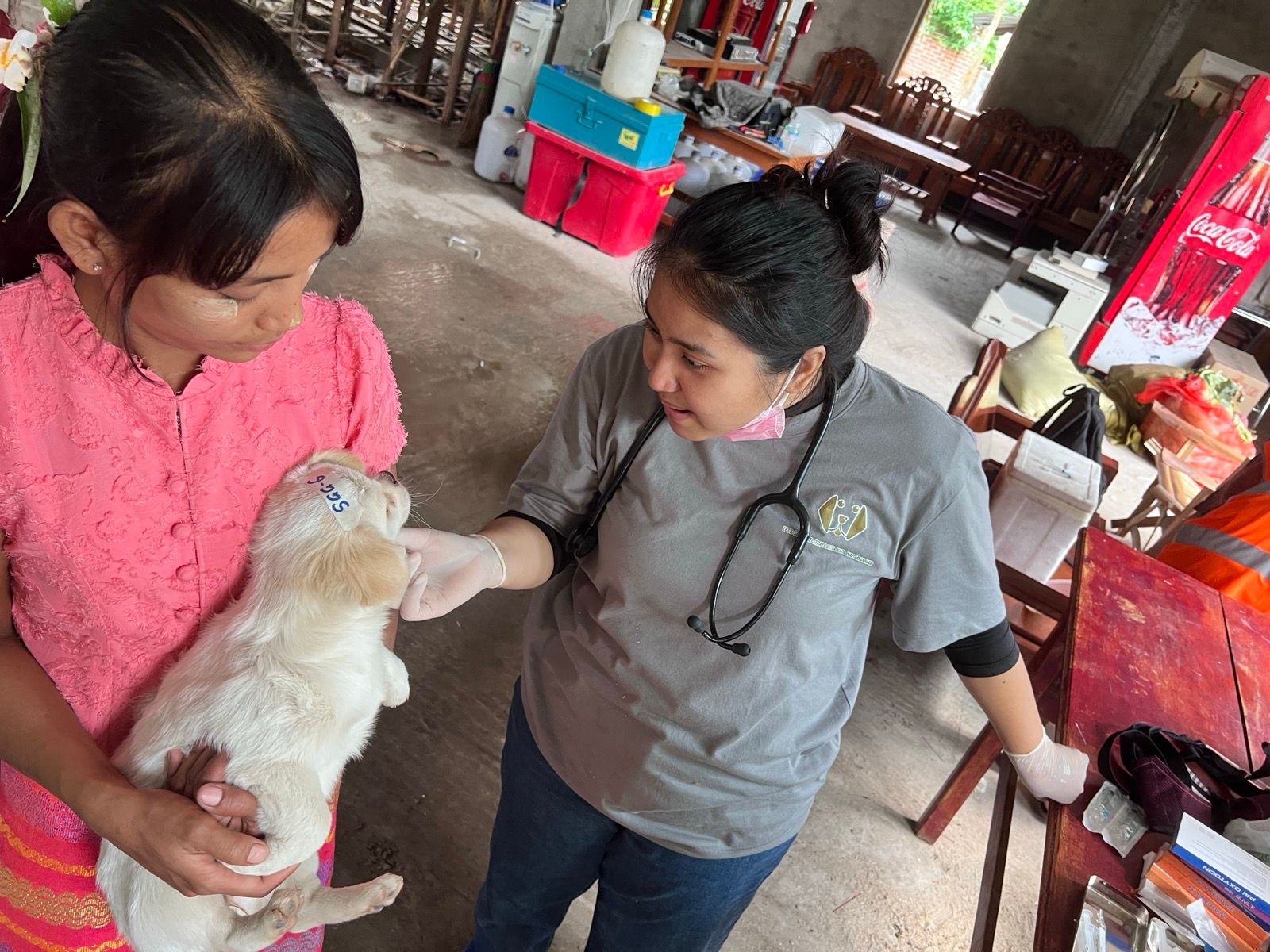Medical care beyond TNVR in Yangon