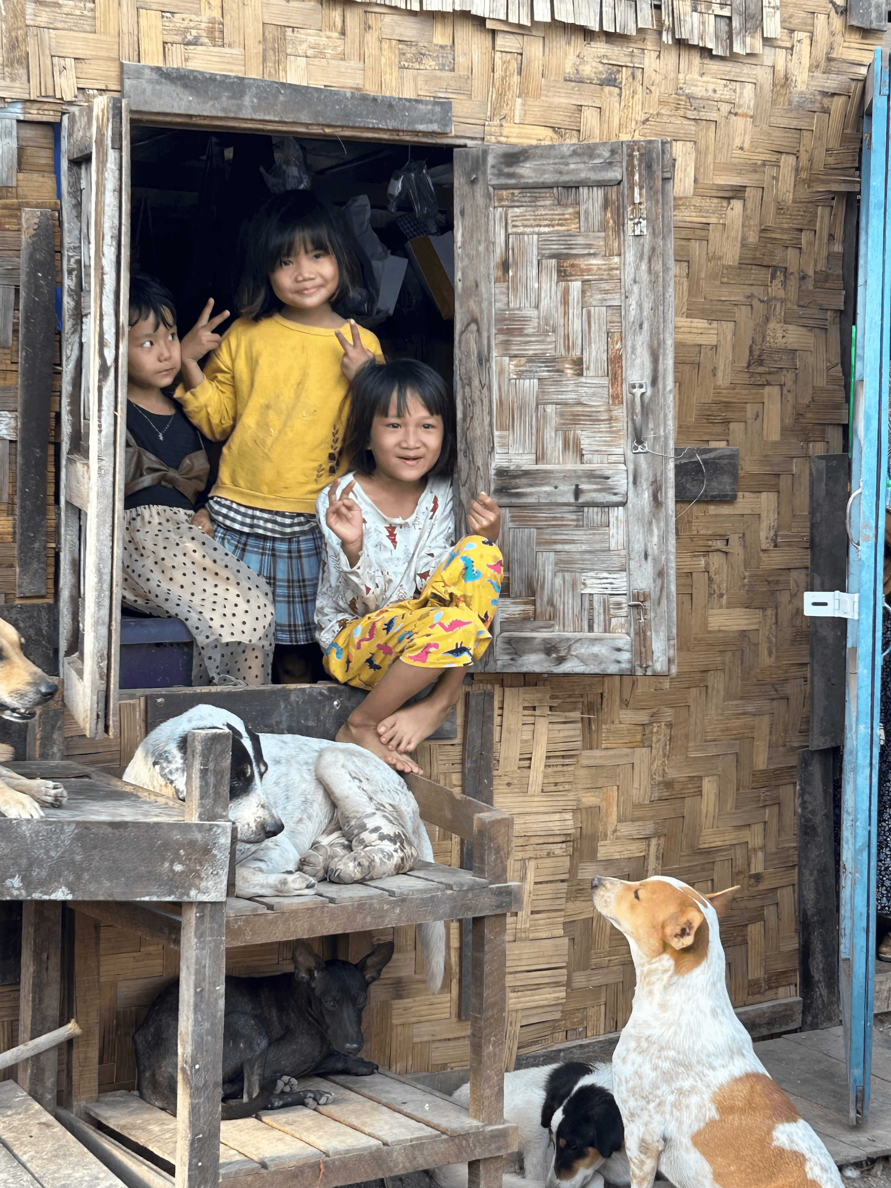 Children and street dogs in Myanmar