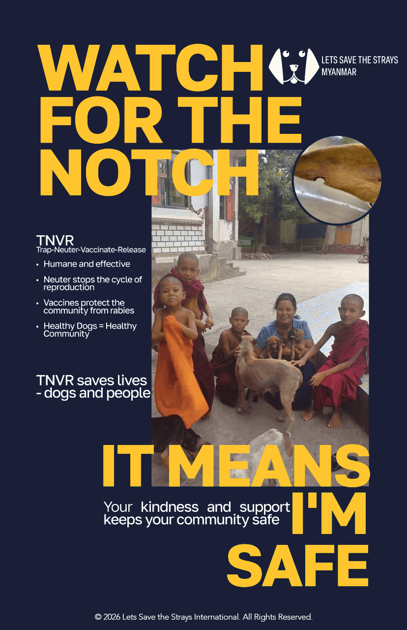 Watch for the Notch - English