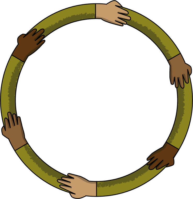 Stray dogs being cared for